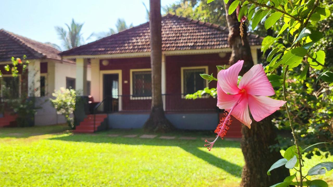 Garden Villa Вагатор Экстерьер фото